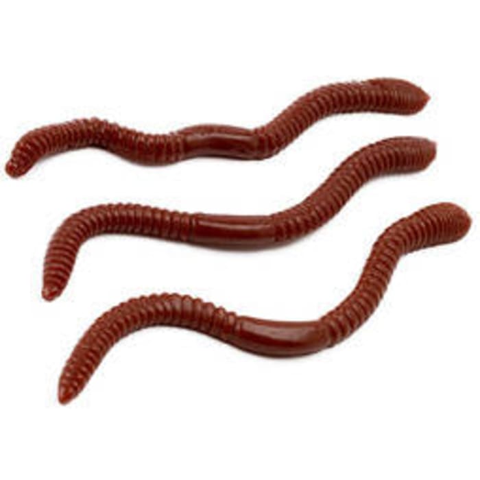 Realistic Gummy Worms