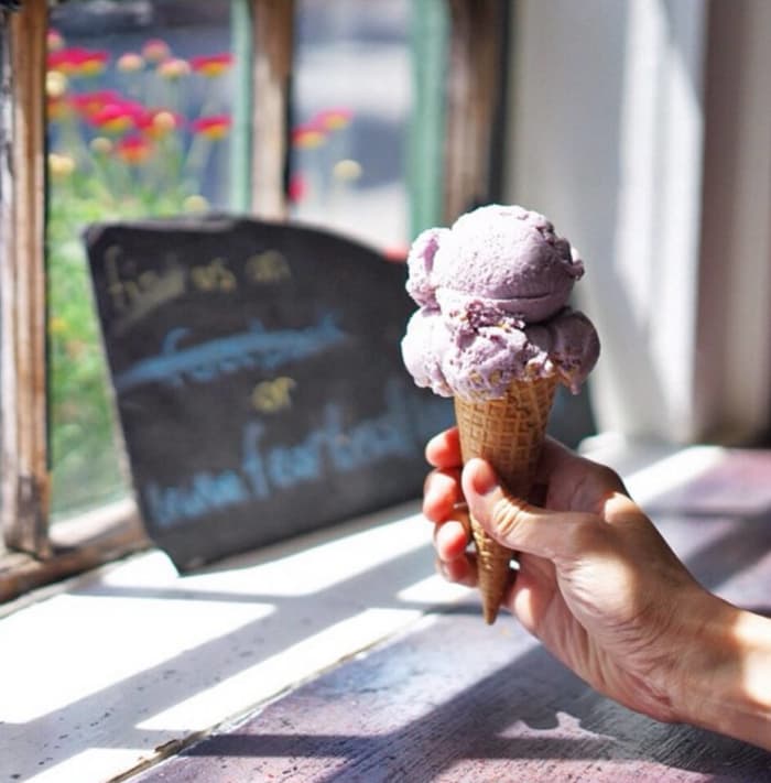 Blueberry, Mt. Desert Island Ice Cream - Maine