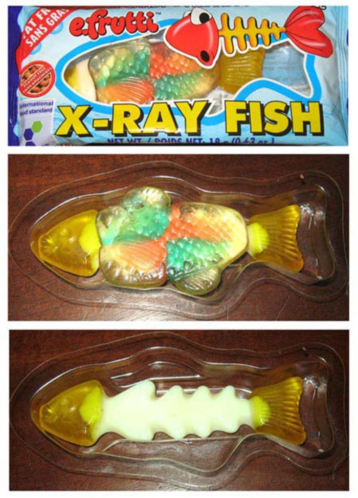 X-Ray Fish
