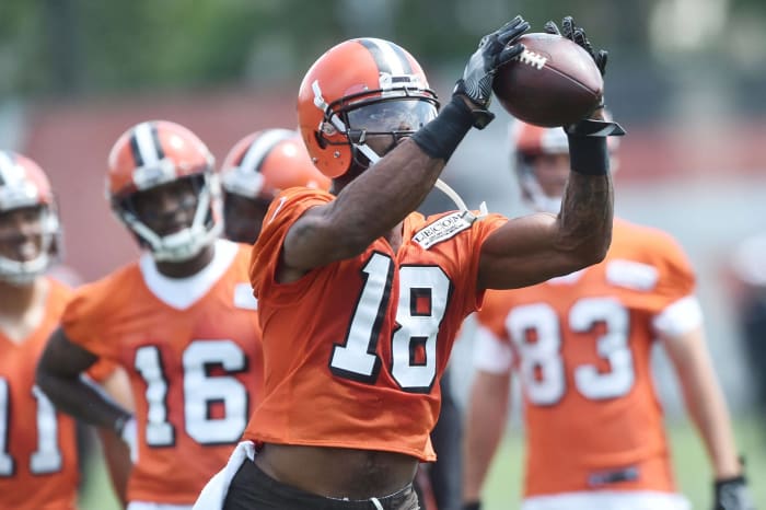 Kenny Britt, WR, Browns