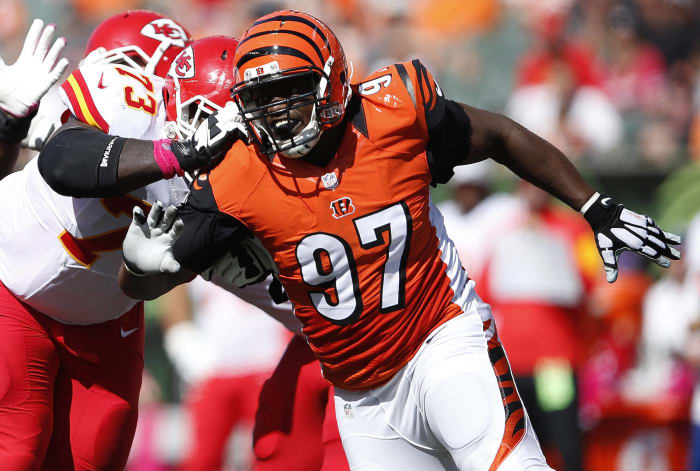 Geno Atkins, 2010
