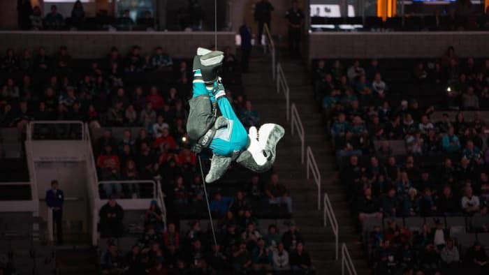 Sharks' mascot gets stuck