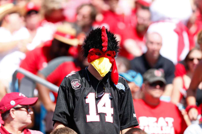 South Carolina Gamecocks