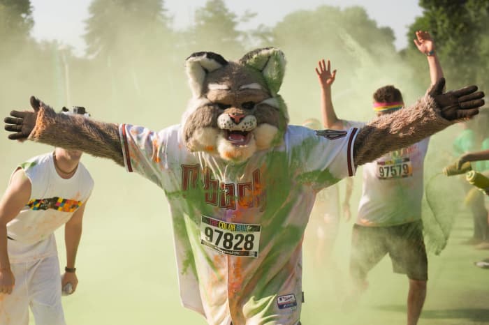 Why Is The Diamondbacks Mascot A Bobcat? The Reason Isn't Stupid At All