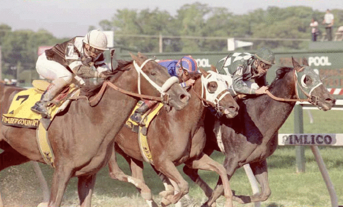 1995: Timber Country