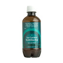 Kombucha (12 pcs)