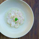 Scallop Carpaccio