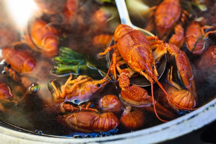 Can Pregnant Women Eat Crawfish? Can Pregnant Women Eat Crawfish?