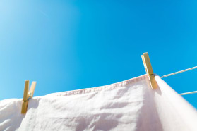 Why do you need to clean pee stains?