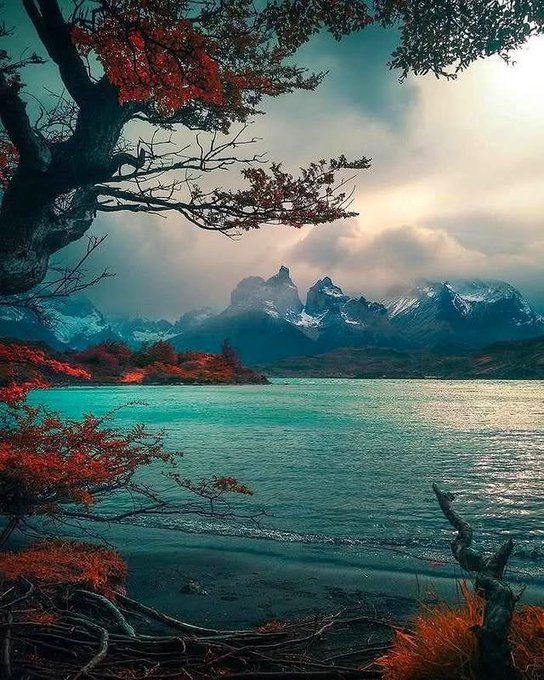 Chile nature.jpg