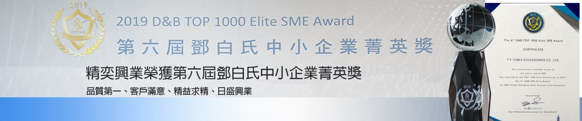 2019 D&B TOP 1000 Elite SME Award