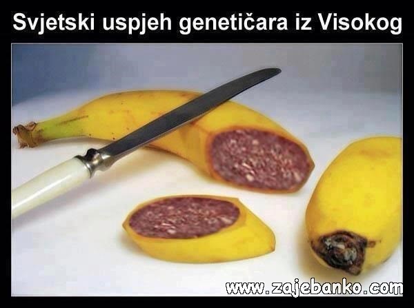 nova vrsta banane humor