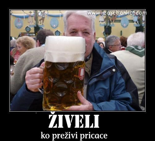 živjeli - nazdravlje - čin čin