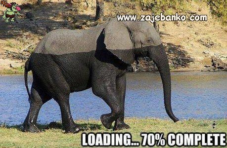 loading please wait