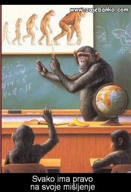 teorija evolucije smiješna slika