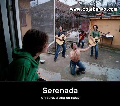 serenada smiješna slika