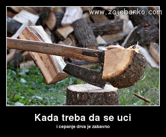 cijepanje drva humor