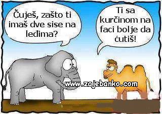 slon i deva smiješna slika