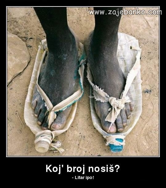 koji broj nosiš humor