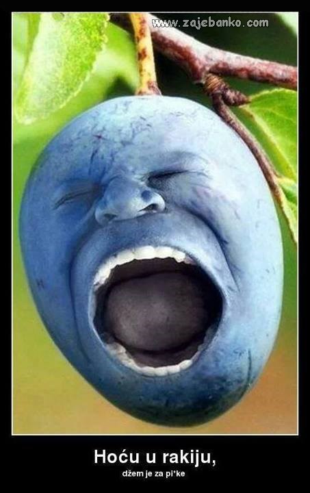 šljiva i rakija - šljivovica