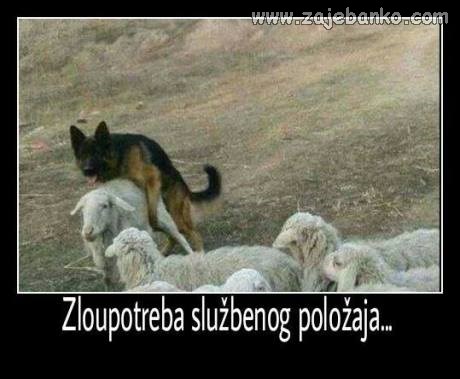 zloporaba službenog položaja