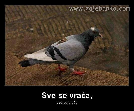 sve se vraća, sve se plaća