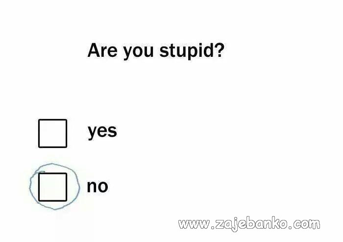 test za glupost