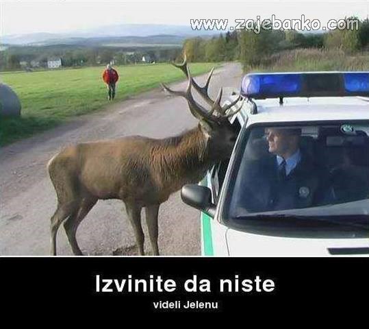 jelen na policiji