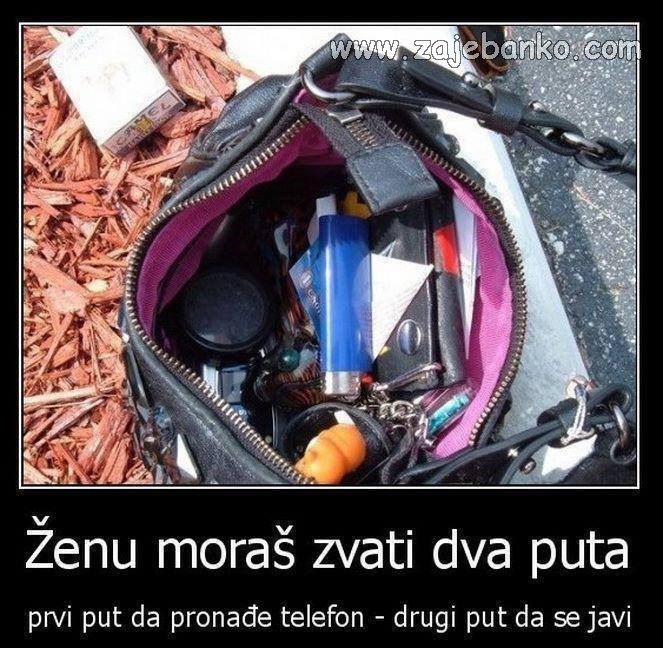 ženska torbica smiješna slika