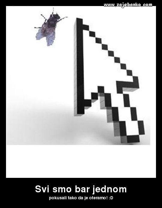 muha na ekranu smiješna slika