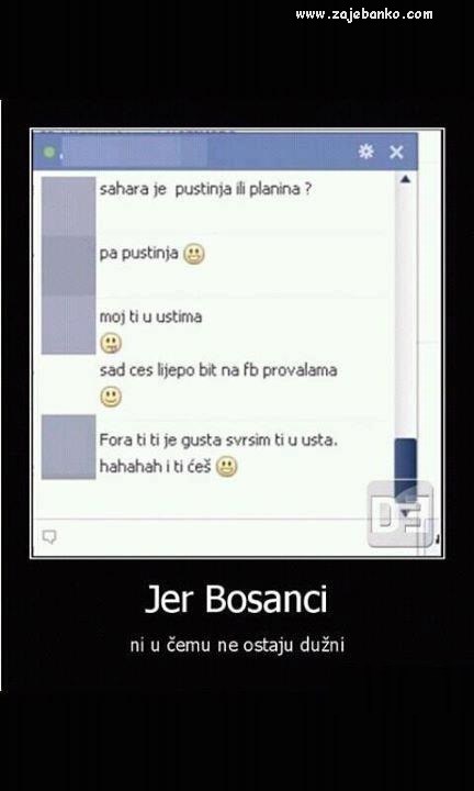 bosanci humor