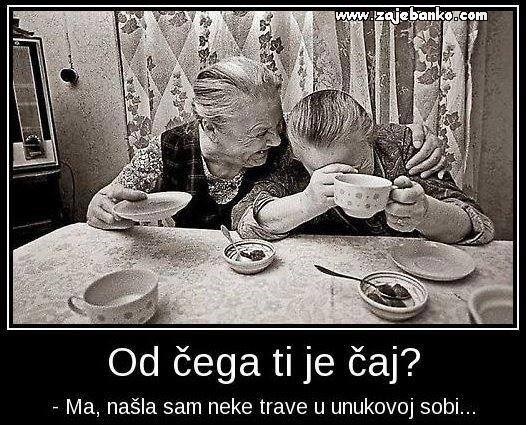 čaj smiješna slika