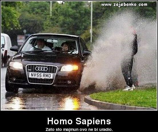 homo sapiens smiješna slika