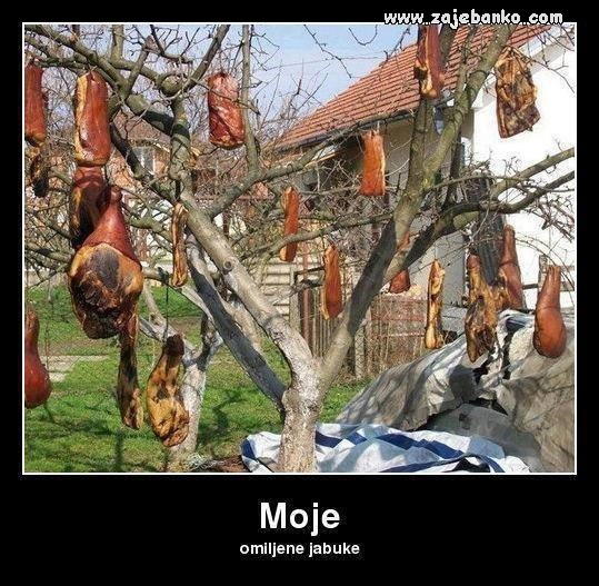 najljepše i najmirisnije jabuke na svijetu