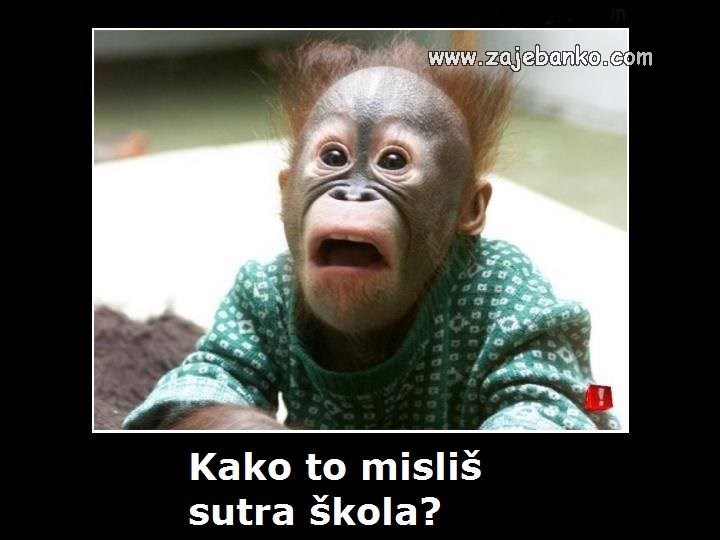 prvi dan škole smiješna slika