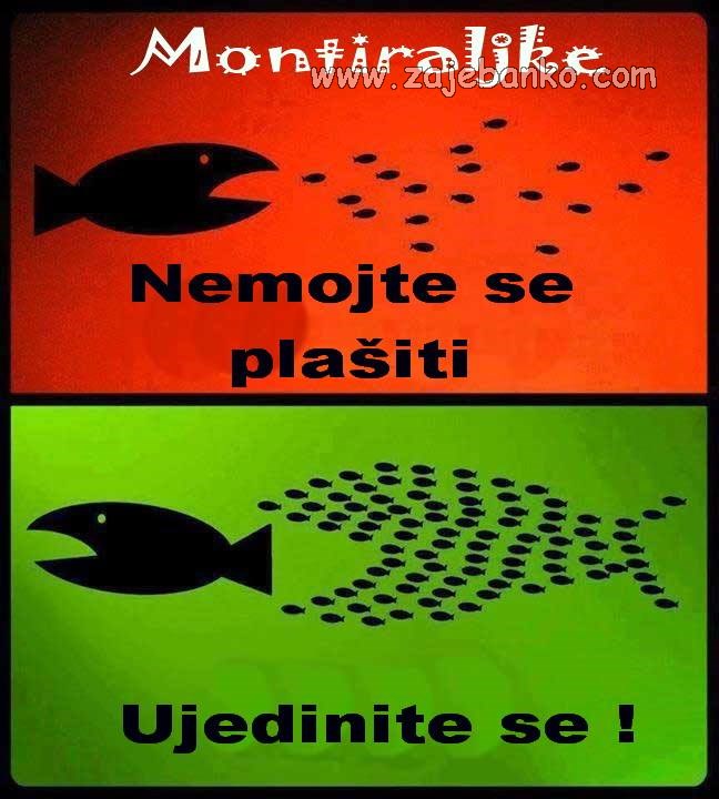 zajedno smo jači smiješna slika