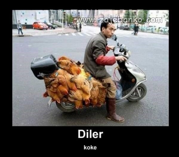 diler koke smiješna slika