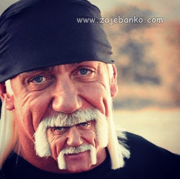 hulk hogan smiješna slika
