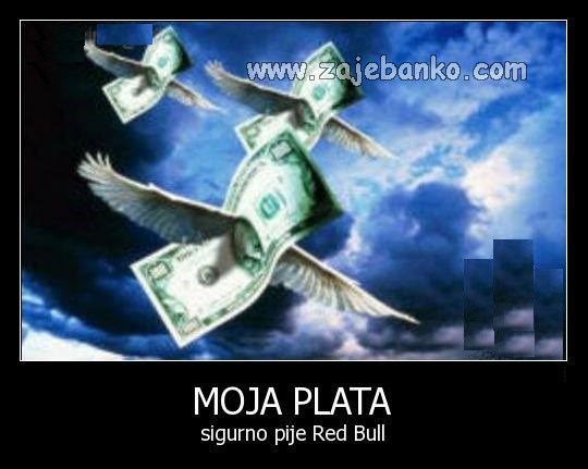 red bull daje ti krila smiješna slika