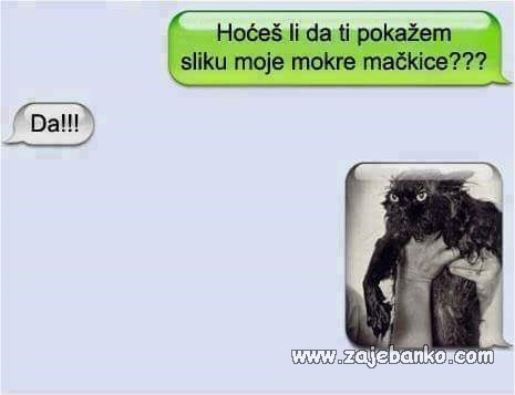 sms poruka humor