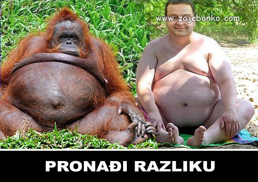 pronađi razliku na slici