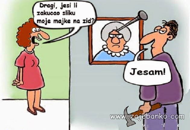 punica na zidu humor