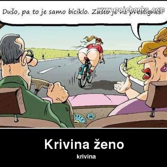 krivine i zavoji na cesti