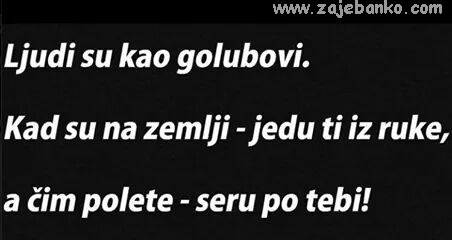 ljudi i golubovi