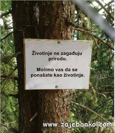 ponašanje poput životinje