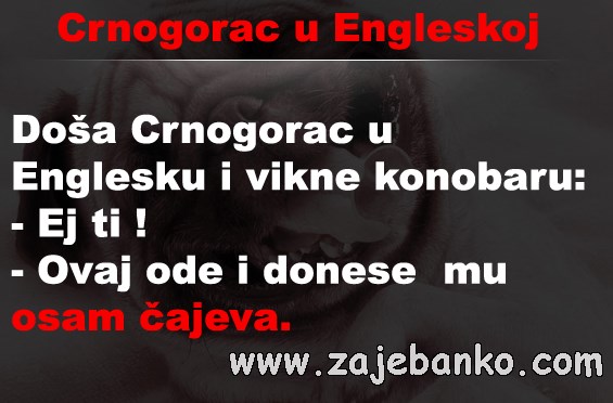 Crnogorac u Engleskoj