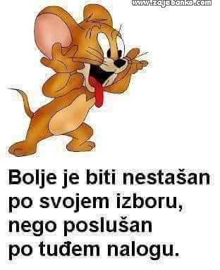 miš Jerry