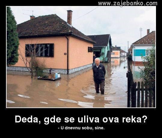 poplava smiješna slika