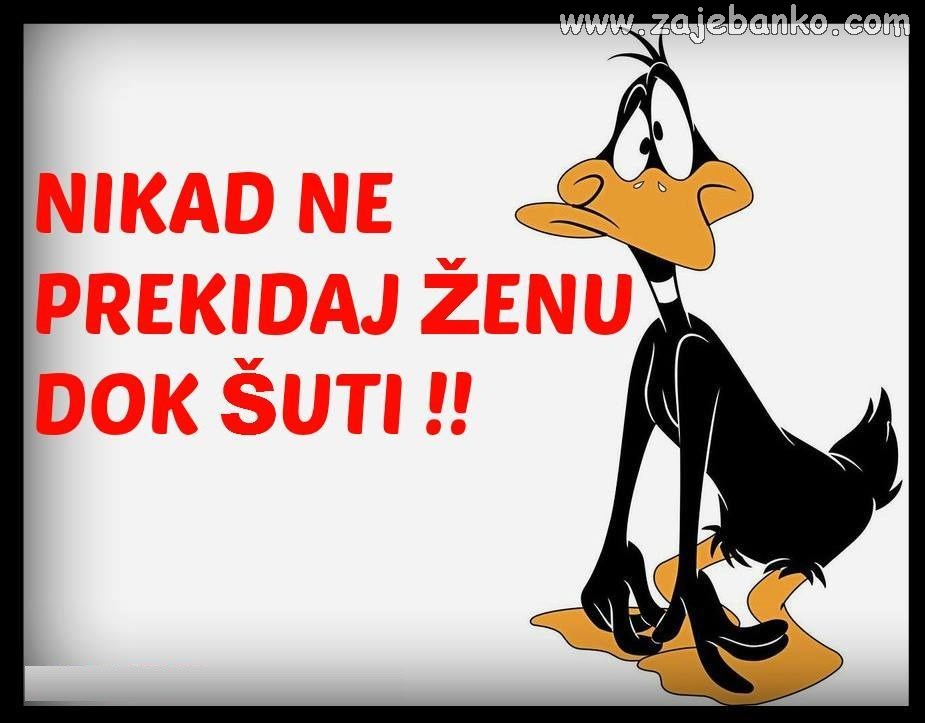 nikad ne prekidaj ženu dok šuti