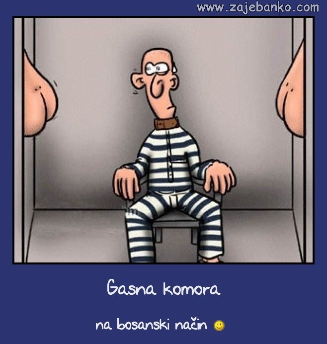 plinska komora smiješna slika